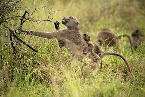 aha Skukuza Safari Lodge