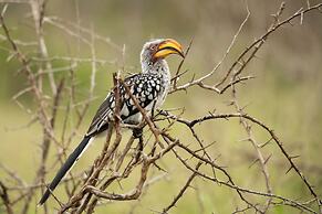 aha Skukuza Safari Lodge