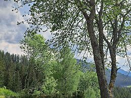 Hideaway Dachstein West by ALPS RESORTS