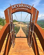 Large Modern-style Condo w Pool Gym Game Room