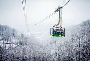 Modern Style 2 Bed Condo Pool in Gatlinburg