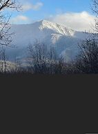 Fabulous View Pool Game Room Hot Tub and More