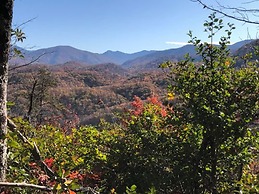 Modern Style Peaceful Tranquility Pet Friendly