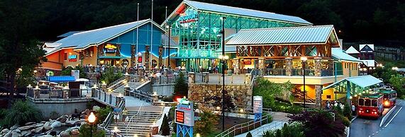 Modern Style Peaceful Tranquility Pet Friendly