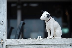 Preciojite Chigasaki