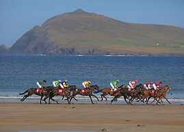 Dingle Town Holiday Home