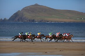Dingle Bay View