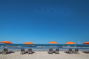 Paradise Tamarindo
