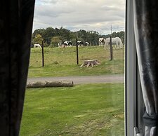 Berwick-upon-tweed - Caravan - Sleeps 6 - Parking