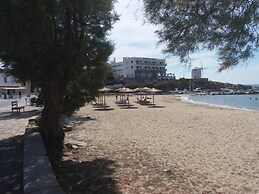 Old Town Traditional House