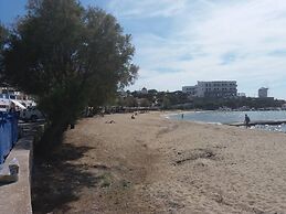 Old Town Traditional House