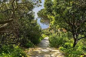 Wilderness Escape: Secluded Haven For Remote Work