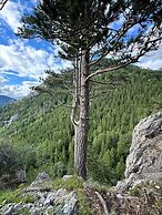 Luxury Glamping in the Vienna Alps