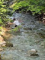 Luxury Glamping in the Vienna Alps