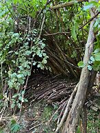 Luxury Glamping in the Vienna Alps