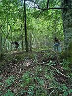 Luxury Glamping in the Vienna Alps