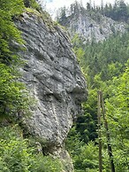 Luxury Glamping in the Vienna Alps