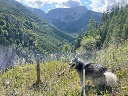 Luxury Glamping in the Vienna Alps