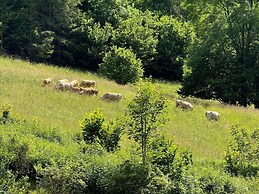 Luxury Glamping in the Vienna Alps