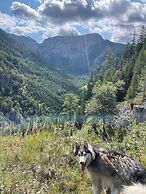 Luxury Glamping in the Vienna Alps