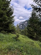 Luxury Glamping in the Vienna Alps