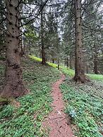 Luxury Glamping in the Vienna Alps