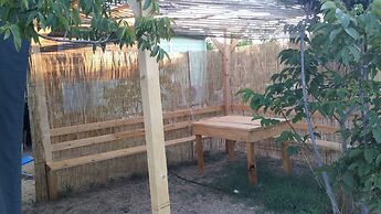 AgriCampeggio Darwin