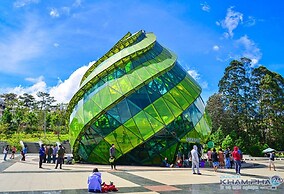 OYO 1248 Quyen House