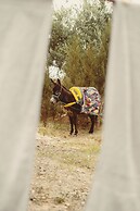 EdenAtlas Bed and Breakfast - Amizmiz