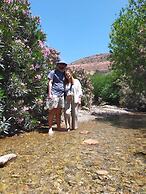 EdenAtlas Bed and Breakfast - Amizmiz