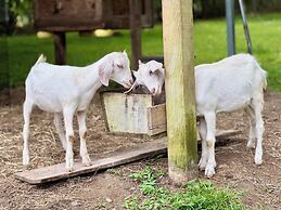 Bukala Village Lodge