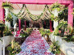 Spring Gardens And Farmstay