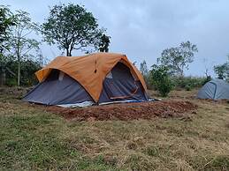 Wilderness Jungle Camp