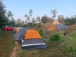 Wilderness Jungle Camp