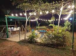 Wilderness Jungle Camp