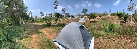 Wilderness Jungle Camp