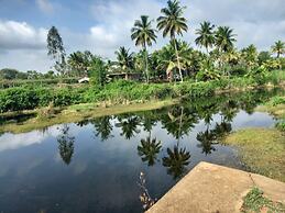 Wilderness Jungle Camp