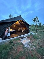 Wilderness Jungle Camp