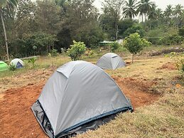 Wilderness Jungle Camp