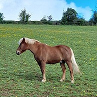 Stroud's Golden Valley 2-bedroom Apartment Retreat