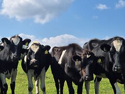 Tranquil Carney Commons Cottage - Sleeps 10