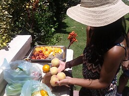 Dark Green House en Chacras de Coria