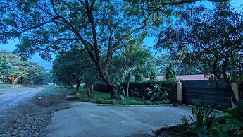 jacaranda homestay