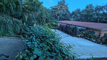 jacaranda homestay