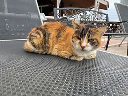 Boronia Hotel Apartments