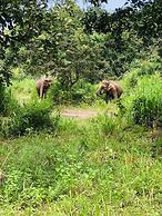 Tiara Elephant Lodge