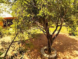 Tiara Elephant Lodge