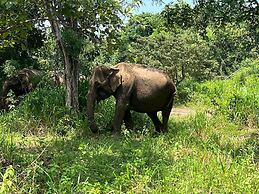 Tiara Elephant Lodge