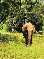 Tiara Elephant Lodge