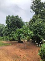 Tiara Elephant Lodge